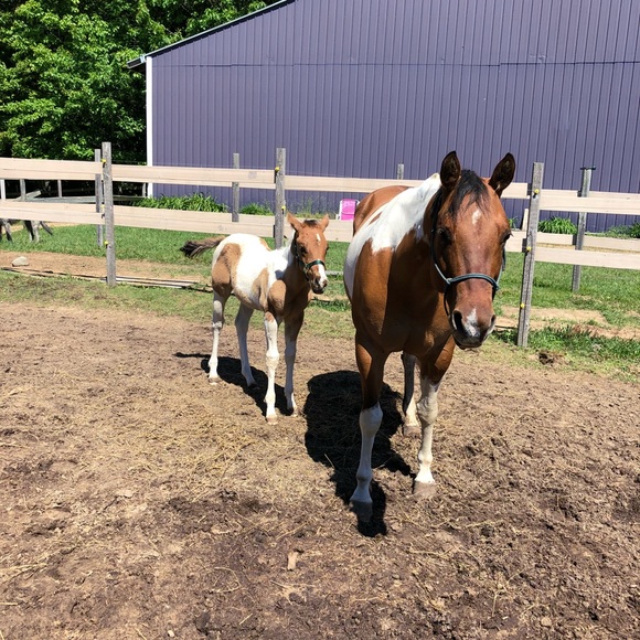 Meet your Posher, Kate - Picture 5 of 8